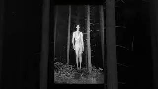 Miniature : 1934 Rare footage : Strange apparition in UK Wistman's Wood UK slender man 😱