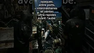Miniature : le scandale derrièere le thon rouge