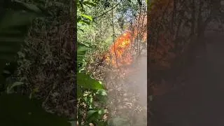 Miniature : Feu de broussailles ⚠️9 feux sur 10 sont d'origine humaine 😱 #strike #pompier #firefighter #feu