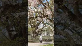 Miniature : Spring walk in the park