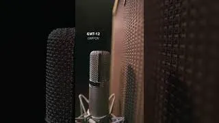 Miniature : How much does the microphone change a guitar recording?