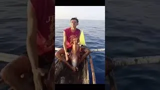 Miniature : L’ocean pacifique animal  magnifique  🫵😂⛓️‍💥