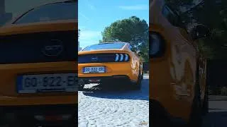 Miniature : Duo MUSTANG GT 🐴