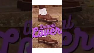 Miniature : Rejoignez la SUPER Team des Animal Lovers sur supergreenshoes.fr #vegan #veganshoes #chaussures