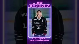 Miniature : Pourquoi les Carabins?🏒
