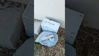 Miniature : Petite surprise devant la maison !!