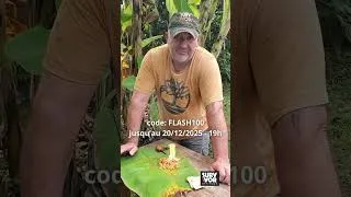 Miniature : 100€ de réduction avec les code: FLASH100
