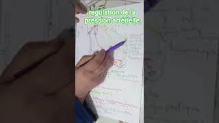 Miniature : 🔥 Comprendre en 60s : Le secret du corps humain !