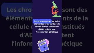Miniature : C'est quoi un chromosome ???