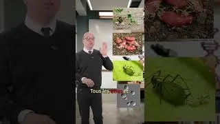Miniature : La vérité sur les clones (Tu vas être choqué) 😱🧬