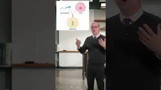 Miniature : D'une SEULE cellule à 30 milliards ! 🧬
