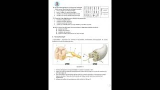 Miniature : Devoir de contrôle n°2 2025/2026  BAC SVT