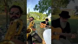 Miniature : "Papillons Noirs" by Swing of France  #accordion #jazzmusette #guinguette #jazzmanouche