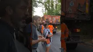 Miniature : Abattage en pleine canicule: ils sont ouf