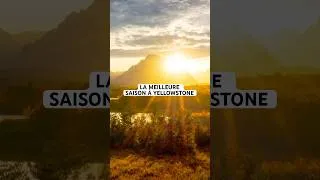 Miniature : La meilleure saison pour photographier Yellowstone ! 🍁