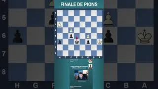 Miniature : Le célèbre trébuchet en finale