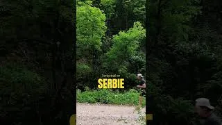 Miniature : Petit run solo en forêt en Serbie