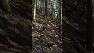 Miniature : marche printanière en Haute Savoie.