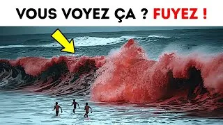 Miniature : ❌ Les Algues Rouges Sont Dangereuses Pour Nous 🌊