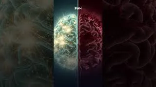 Miniature : Solitude vs Isolement 🧠