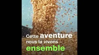 Miniature : Let's go and grow together (2)
