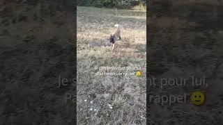 Miniature : Oubliez le rappel, devenez le centre d'intérêt de votre chien !