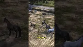 Miniature : LES CHEVAUX DÉBARQUENT DANS WORKERS & RESOURCES ! 🐎💨 (Nouvelle Update GRATUITE)