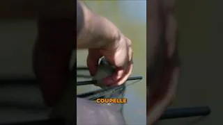 Miniature : PENSEZ À UTILISER UNE COUPELLE ADAPTÉE 👌🏻🎣