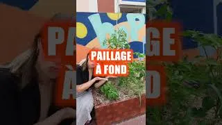Miniature : Comment faire survivre ses plantes à la canicule ?