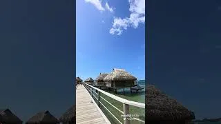 Miniature : Manava Resort Moorea