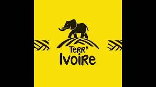 Miniature : Team Créatif s'engage en Afrique avec Terr'Ivoire
