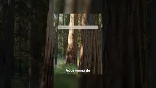 Miniature : Astuce #macos : Remettre le point sur le pavé numérique