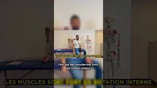 Miniature : musculation et tendinite épaule