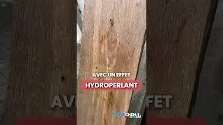 Miniature : Vous traitez le bois 🪵 ? Regardez ça 👀 ! TECHNICHEM France 🇫🇷