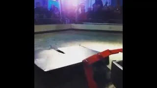 Miniature : Makerfight #2: La tondeuse vs Nybistructor