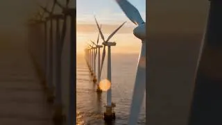 Miniature : Comment les Pays-Bas alimentent tout un pays avec des éoliennes géantes ! 🌍