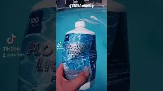 Miniature : Guerre aux algues de l'été 2022 (Re-upload Tiktok)