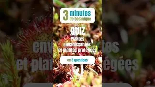 Miniature : Quiz « Plantes envahissantes et plantes protégées » #3minutesdebotanique