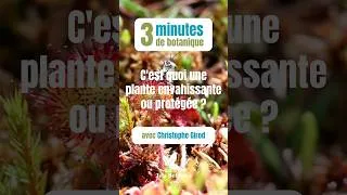 Miniature : C’est quoi une plante envahissante ou protégée ? #3minutesdebotanique