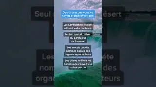 Miniature : Des choses que vous ne saviez sans doute pas...