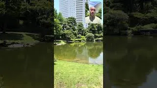 Miniature : Le jardin Yasuda #tokyo #japon #vlog #vlogjapon #edo #sumo