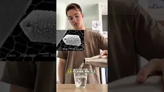 Miniature : Filtre d’osmose inverse