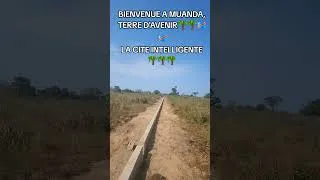 Miniature : Investir à Muanda avec Terd'Avenir 🌴🌴🌴#immobilier #banana #muanda #plage #diaspora #afrique #rdc