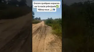 Miniature : Vente terrains à Muanda/Océan #afrique #investissement #info #immobilier #plage #Muanda #rdc #banana