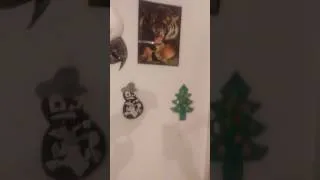 Miniature : Mr ce la pète !!!!