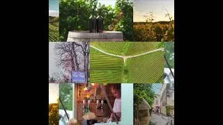 Miniature : Randonnée Bordeaux Vignoble Engagé