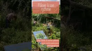 Miniature : 3 idées 100 % nature dans nos jardins