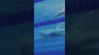 Miniature : Léon marchand titre sur le 400 m nage libre au championnat d’Europe à Paris