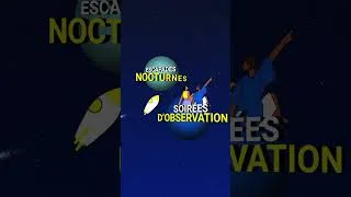 Miniature : Teaser de la programmation de l'été 2026 à Cosmocité