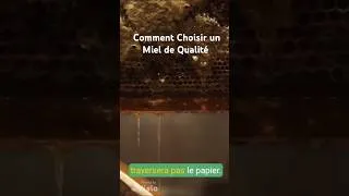 Miniature : "Comment Choisir un Miel de Qualité : Guide Pratique"